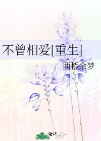 不曾相爱[重生]